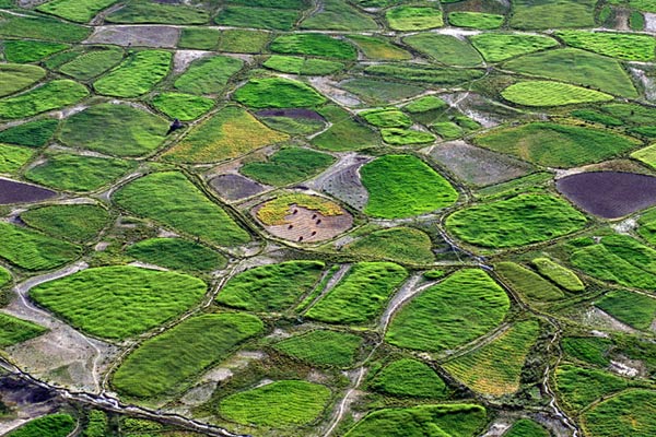 Felder von Tongde, Tongde, Zanskar, Jammu und Kaschmir