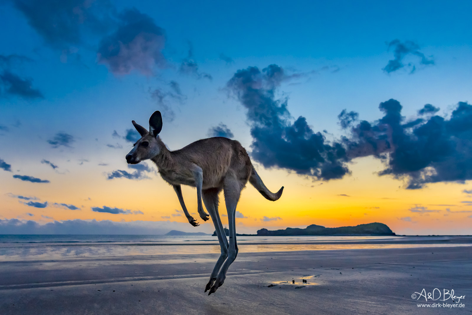 Australien - ein Jahr Freiheit © Dirk Bleyer