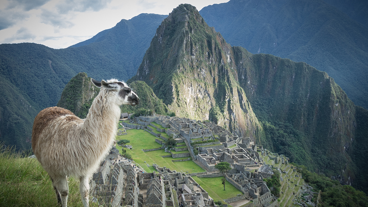 Peru_Macchu Picchu