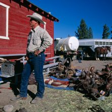Mammoth Lakes: Cowboys bei der Vorbereitung zum Cattle Drive