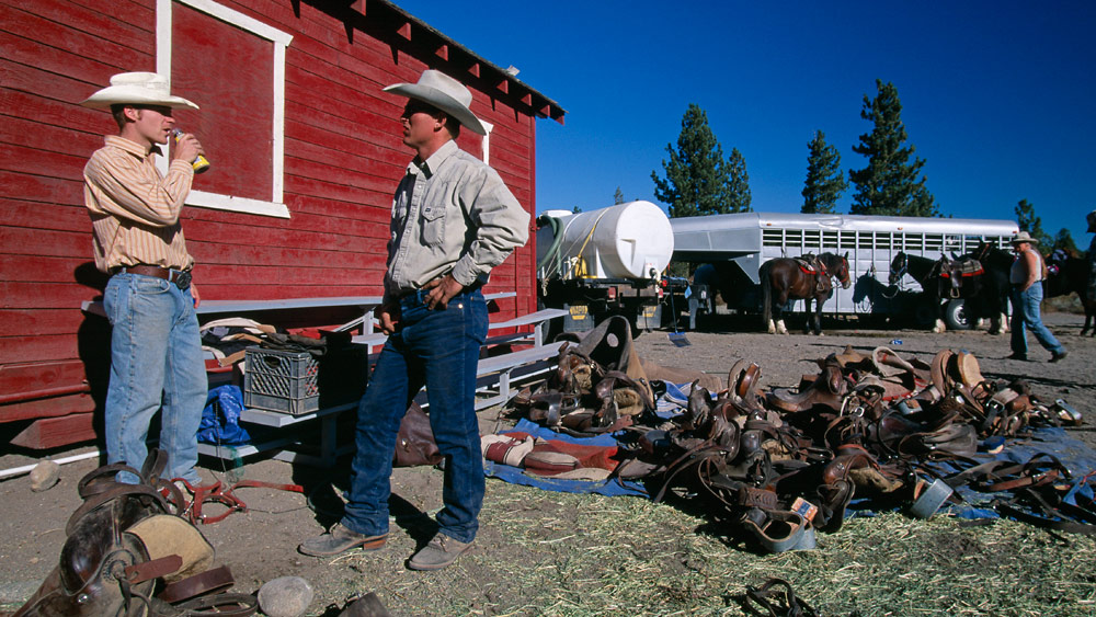 Cowboys bei der Vorbereitung zum Cattle Drive, USA
