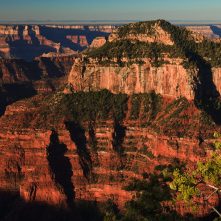 Blick vom North Rim des Grand Canyon