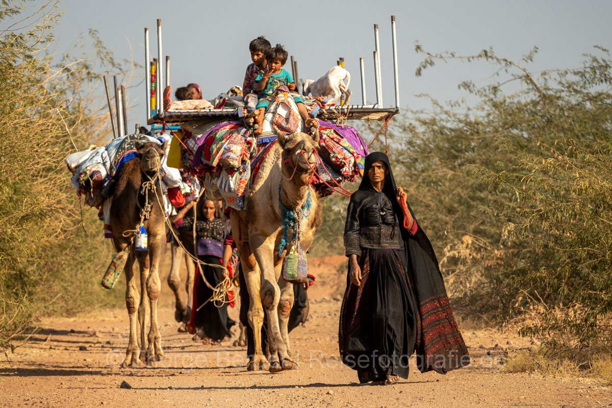 Caravan-of-Rabari-women