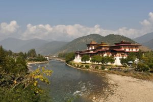 PViolo-Himalaya_Buthan_3