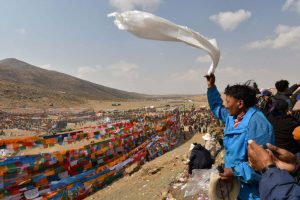 PViolo-Himalaya_Tibet_f1