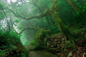 Portugal mit Madeira Portugal mit Madeira