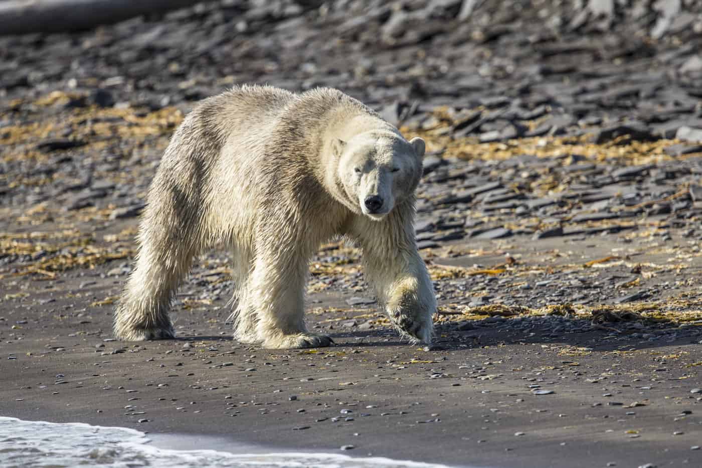 NORWEGEN – über die Fjorde in die Arktis