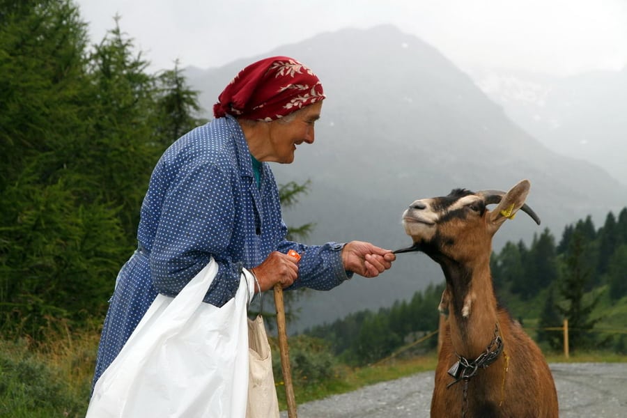 2000 km FREIHEIT - ZU FUSS ÜBER DIE ALPEN VON WIEN NACH NIZZA