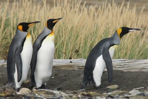 RÜCKENWIND – mit dem Fahrrad um die Welt