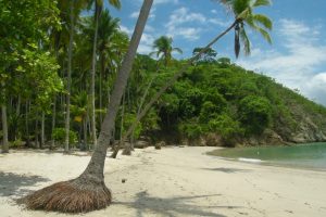 isla_tortuga1